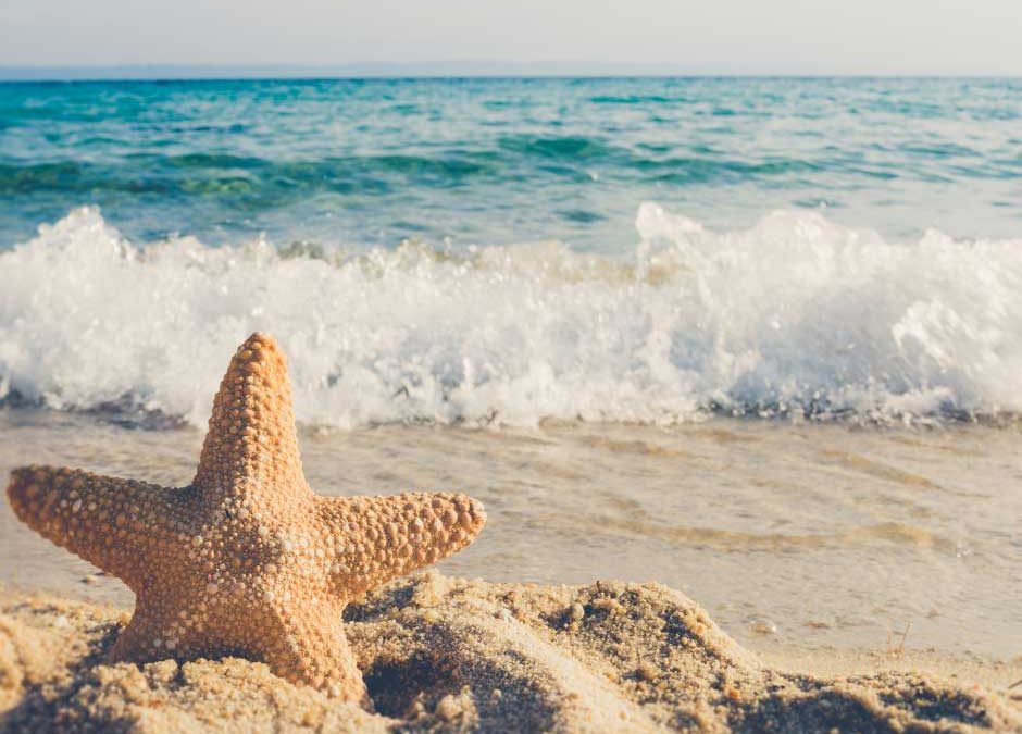 Auf zur Wohlfühlfigur – Hallo Bikinifigur!