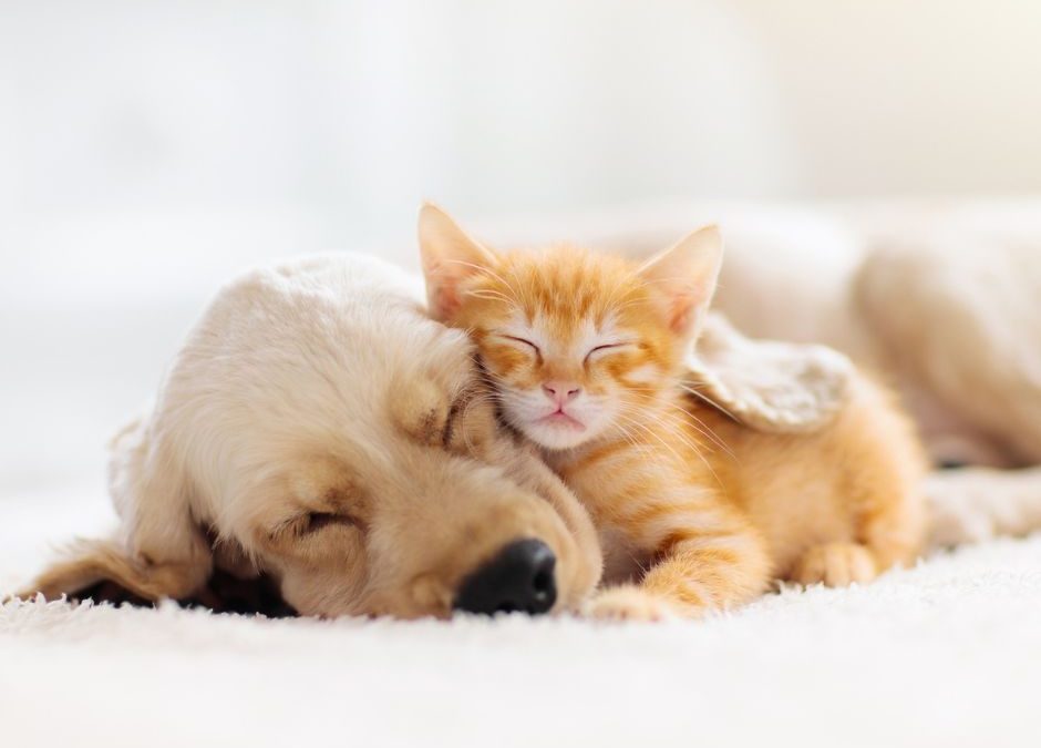 Mit diesen 6 Maßnahmen schlafen Sie sich schlank