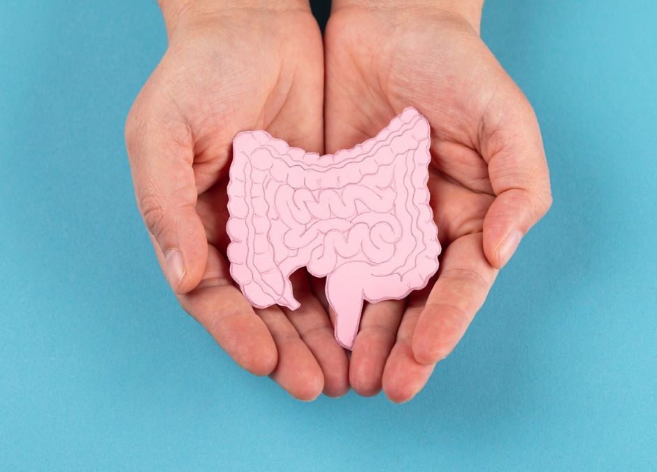 Darum ist Ihr Darm schuld an Übergewicht